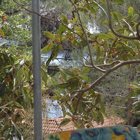 And By The Sea 말리로시니